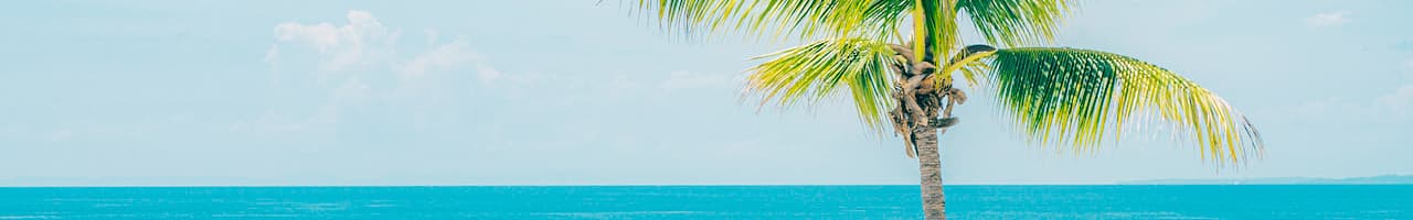 header_image
